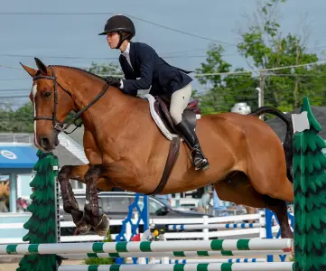 Historic Devon Horse Show and Country Fair returns May 21 through June 1