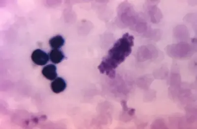 Our cells carry their own sexual identity. That's science, not ideology