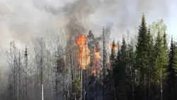 Northern Minnesota fires: If no rain, gusting wind may be ‘game-changer,’ sheriff says