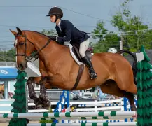 Historic Devon Horse Show and Country Fair returns May 21 through June 1